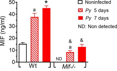 Macrophage migration inhibitory factor contributes to immunopathogenesis during Plasmodium yoelii 17XL infection